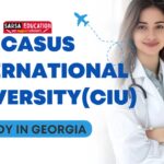 Caucasus International University